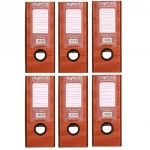 زونکن نیمه متالیک پاپکو بسته 6 عددی