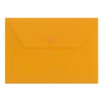 پاکت دکمه دار مات B5 پاپکو کد B5-ClearM