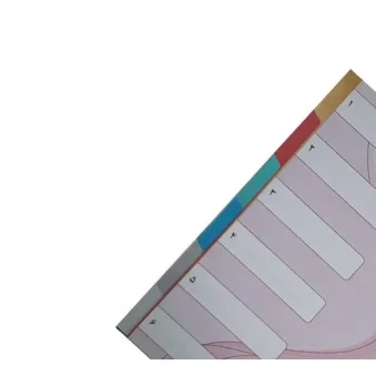 دیوایدر پلاستیکی 6 عددی پیلاوران 6 رنگ